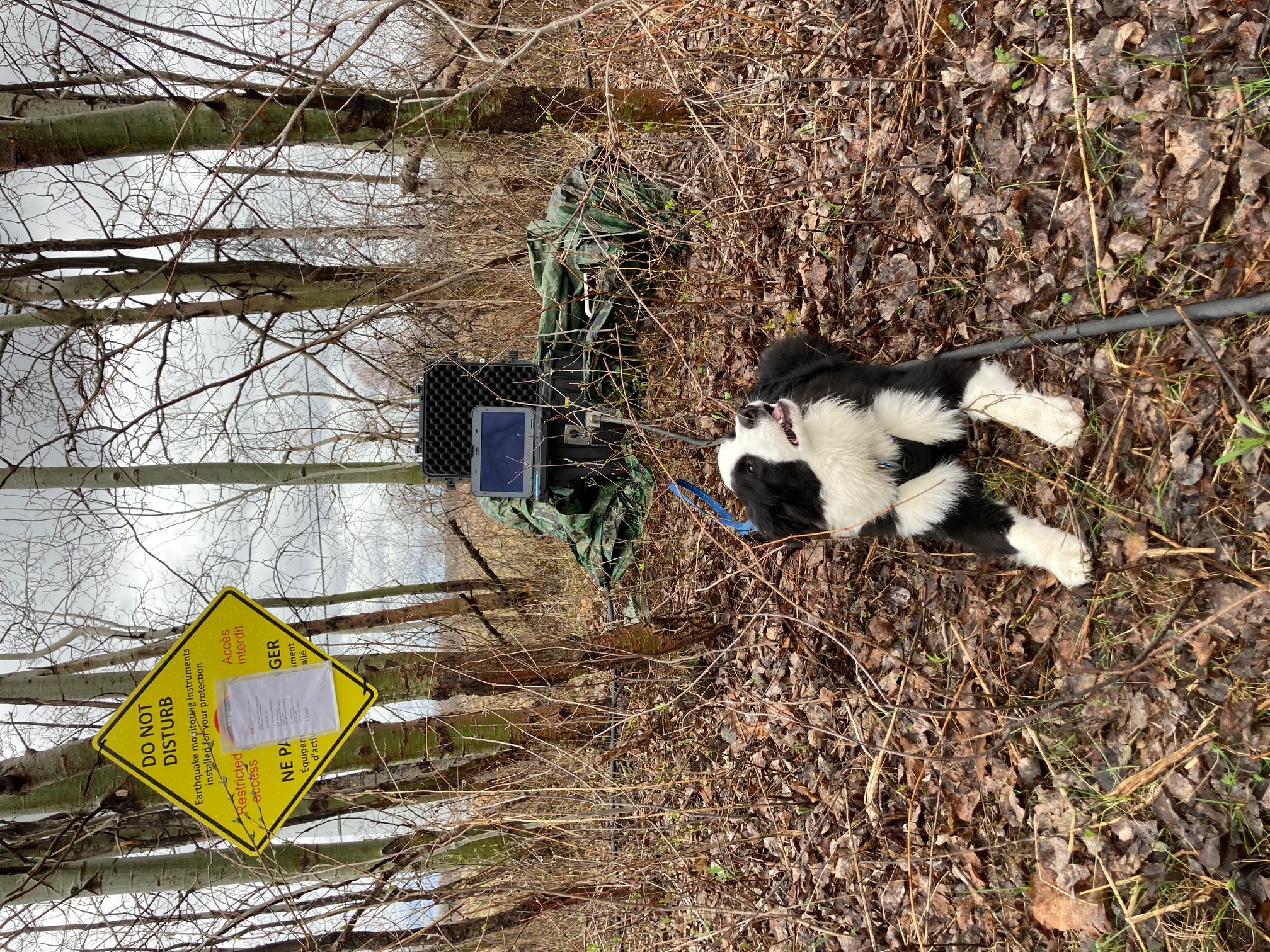 Seismo-Acoustic Sensor